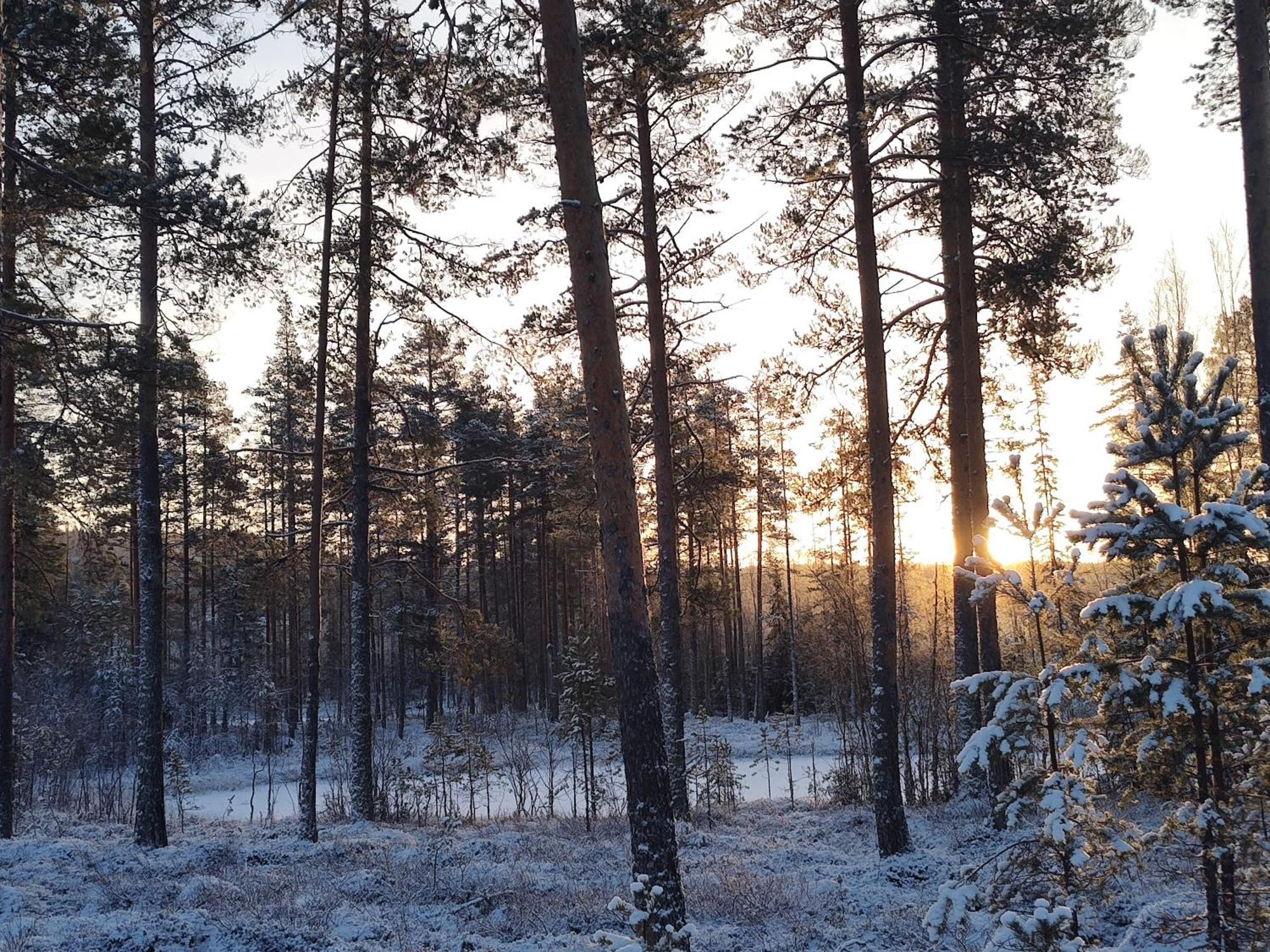 Magisch Berghuisje Met Uitzicht Op Nationaal Park Fulufjaellet *