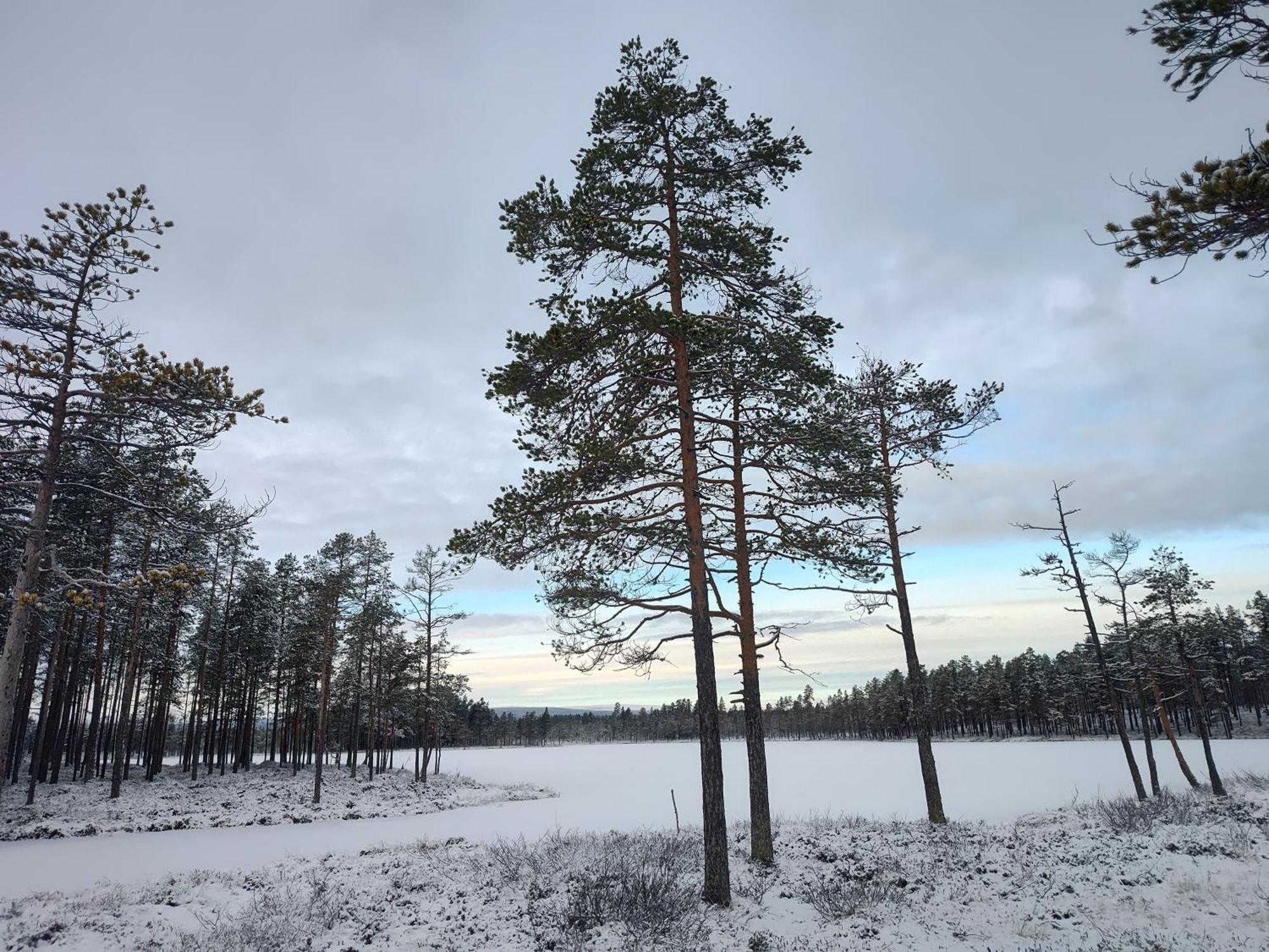 Chalet Magisch Berghuisje Met Uitzicht Op Nationaal Park Fulufjaellet Sorsjon