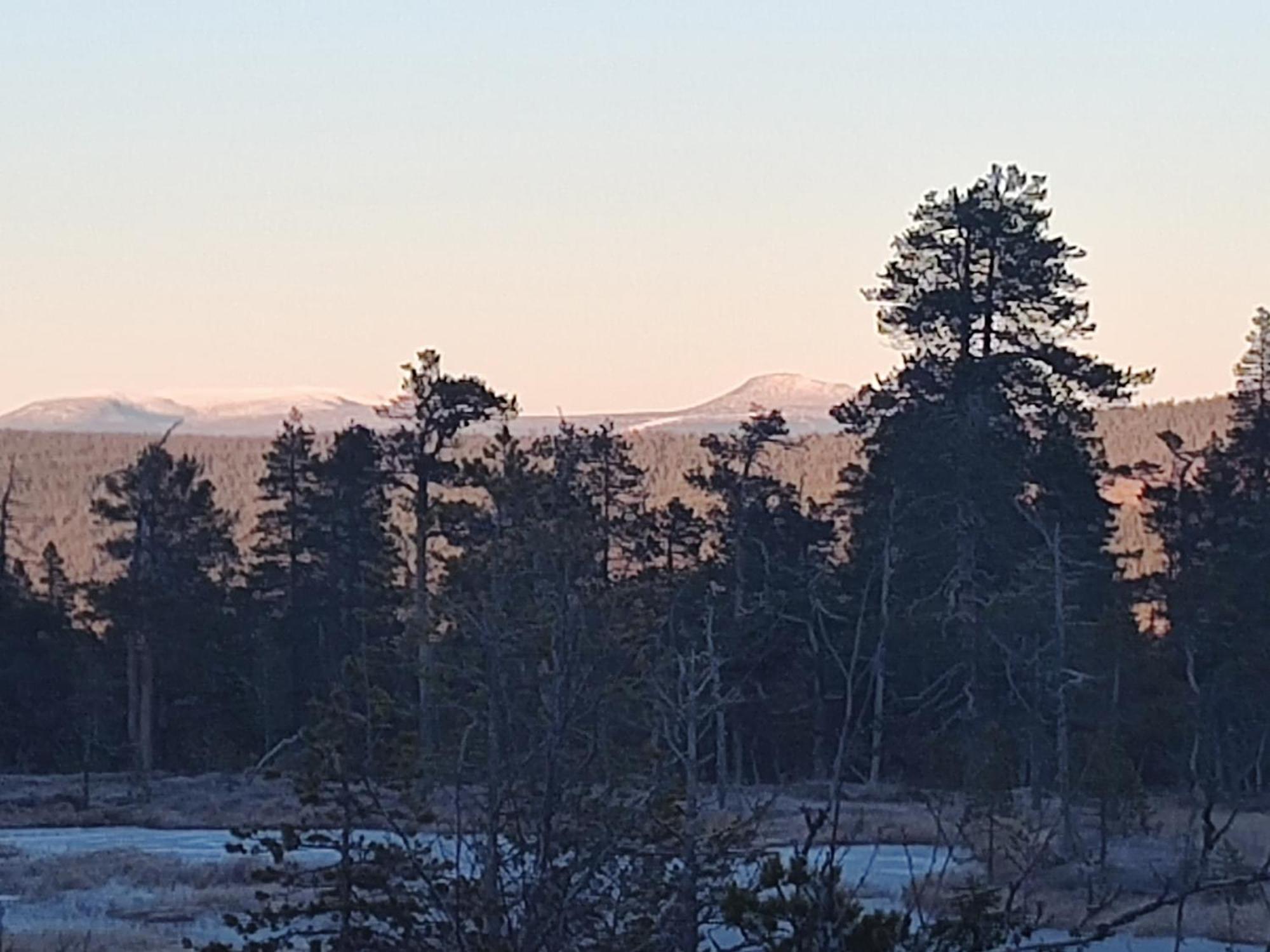 Alpstuga Magisch Berghuisje Met Uitzicht Op Nationaal Park Fulufjaellet *